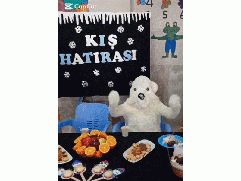 KIŞ HATIRASI